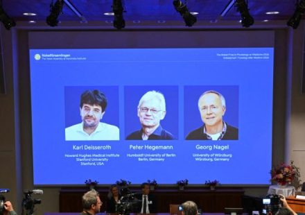 científicos ganan premio