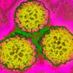 infecciones prevenibles causa