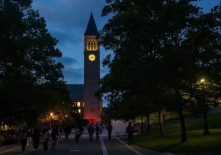 policía cornell buscó