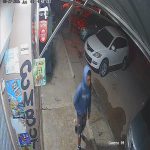 denuncian supuesta ola