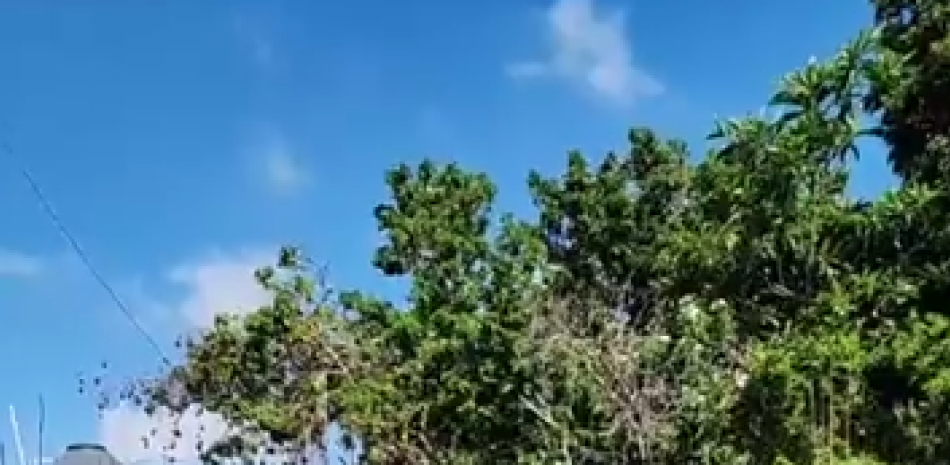 autoridades allanaron vivienda